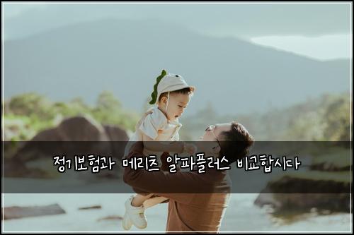 정기보험과 메리츠 알파플러스 비교합시다