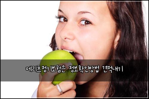 메리츠정기보험은 정보확인방법 견적내기