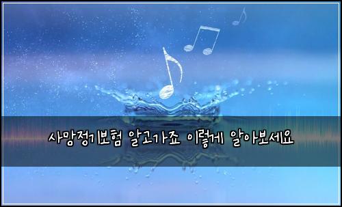 사망정기보험 알고가죠  이렇게 알아보세요