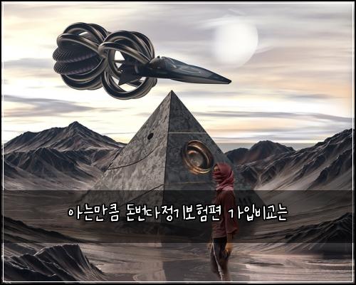 아는만큼 돈번다정기보험편 가입비교는