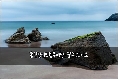 종신정기보험무배당 필수겠지요