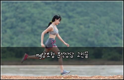 mg암보험 분석상담  고민끝