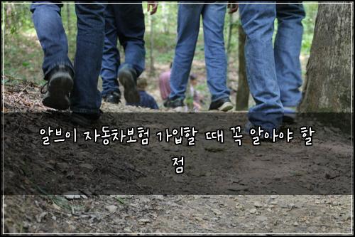 알브이 자동차보험 가입할 때 꼭 알아야 할 점
