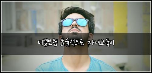 버셜보험 효율적으로  자녀교육비