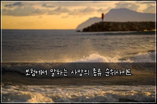 보험에서 말하는 사망의 종류 순위사이트