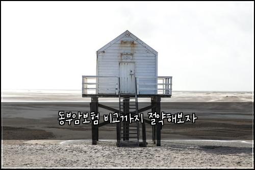 동부암보험 비교까지  절약해보자