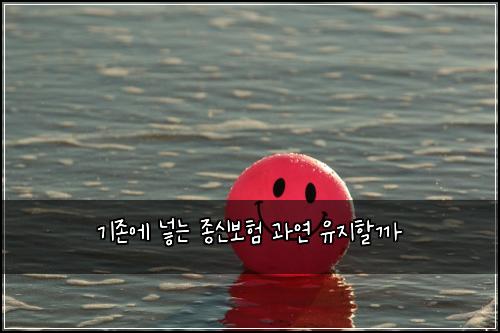 기존에 넣는 종신보험 과연 유지할까