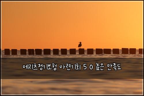 ๋ฉ๋ฆฌ์ธ ์ ๊ธฐ๋ณดํ ๋ง๋ จ๊ธฐํ 5 0 ๋์ ๋ง์กฑ๋