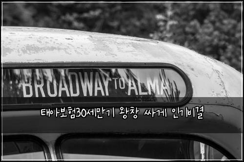 태아보험30세만기 왕창 싸게 인기비결