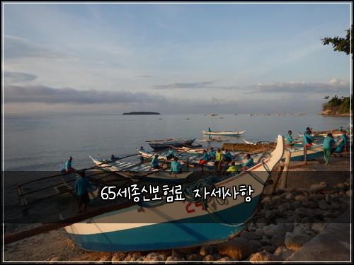 65세종신보험료 자세사항