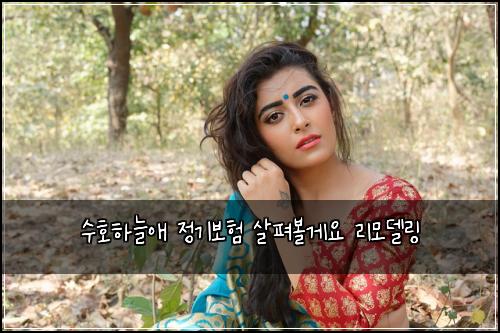 수호하늘애 정기보험 살펴볼게요  리모델링