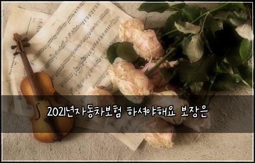 2021년자동차보험 하셔야해요  보장은