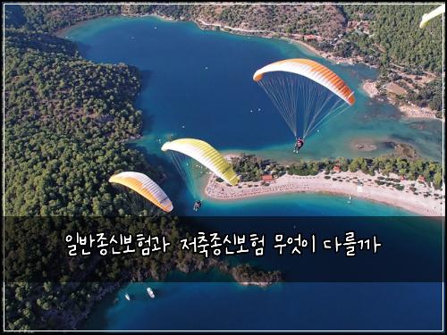 일반종신보험과 저축종신보험 무엇이 다를까