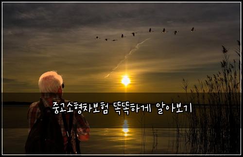 중고소형차보험 똑똑하게 알아보기