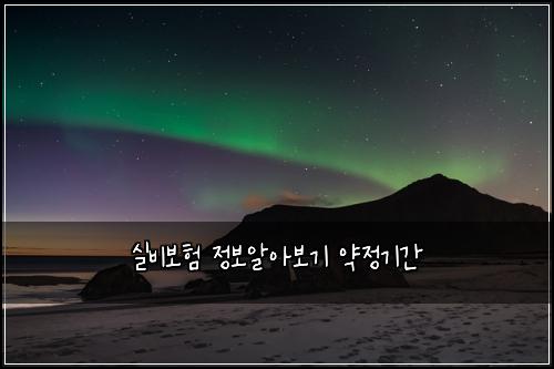 실비보험 정보알아보기  약정기간