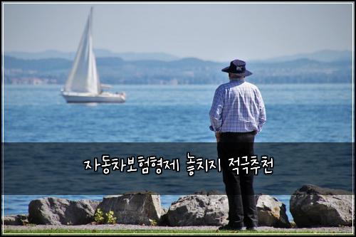 ์๋์ฐจ๋ณดํํ์ ๋์น์ง ์ ๊ทน์ถ์ฒ