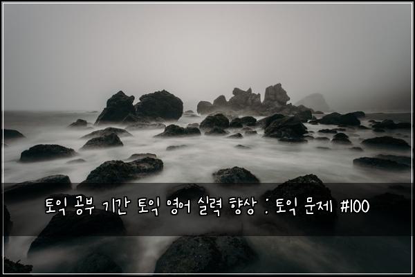 토익 공부 기간 토익 영어 실력 향상 : 토익 문제 #100