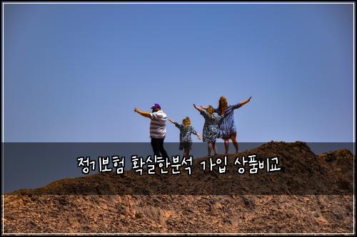 정기보험 확실한분석  가입 상품비교