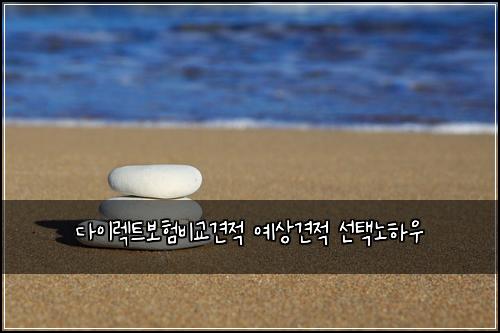 ๋ค์ด๋ ํธ๋ณดํ๋น๊ต๊ฒฌ์ ์์๊ฒฌ์ ์ ํ๋
ธํ์ฐ