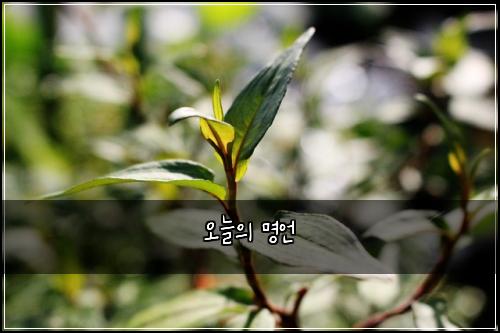 오늘의 명언