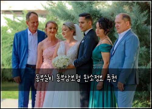 ๋๋ถ์ค๋น ๋๋ถ์๋ณดํ ์์์ ๋ณด ์ถ์ฒ