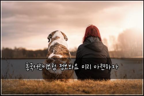 흥국어린이보험 정보봐요  미리 마련하자