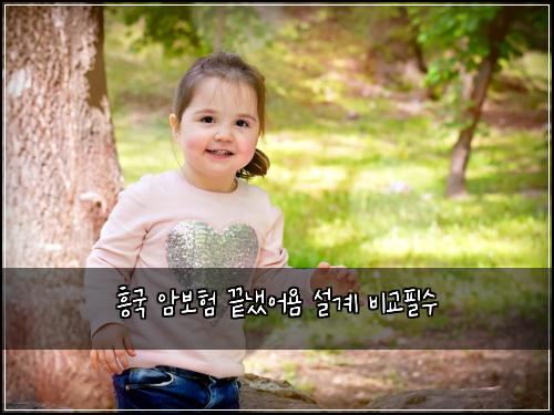 흥국 암보험 끝냈어욤  설계 비교필수