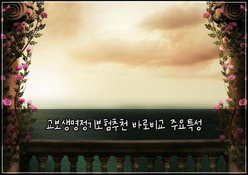 교보생명정기보험추천 바로비교 주요특성