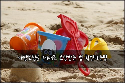 사망보험금 제대로 보상받는 법 확인하는팁