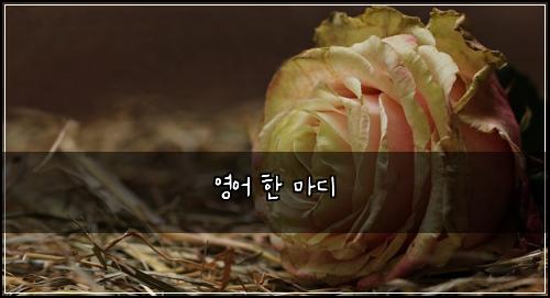 영어 한 마디