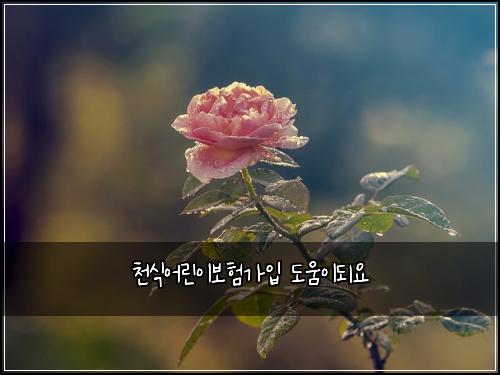 천식어린이보험가입 도움이되요