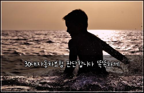 30대자동차보험 판단합니다  똑똑하게