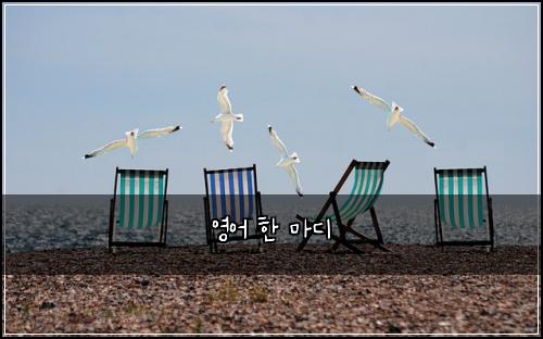 영어 한 마디