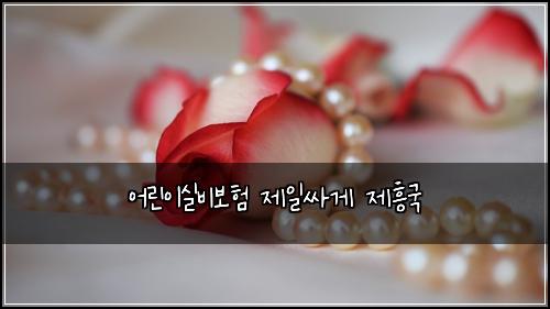 어린이실비보험 제일싸게  제흥국