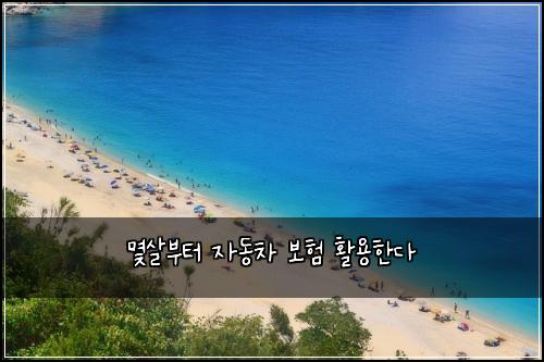 몇살부터 자동차 보험 활용한다 