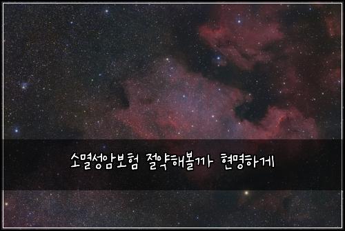 소멸성암보험 절약해볼까  현명하게