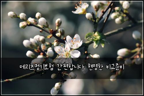 메리츠정기보험 간편합니다  현명한 비교준비