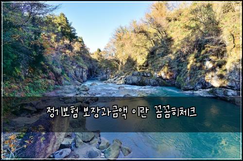 정기보험 보장과금액  이란 꼼꼼히체크