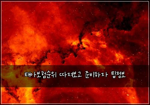 태아보험순위 따져보고 준비하자 팁정보