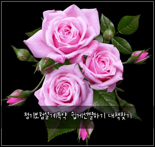 정기보험설계특약 쉽게선별하기 대책찾기