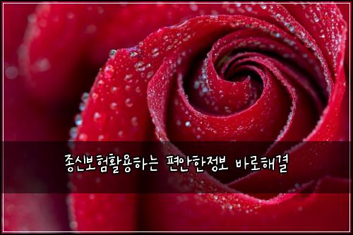 종신보험활용하는 편안한정보 바로해결