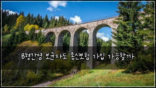 B형간염 보균자도 종신보험 가입 가능할까