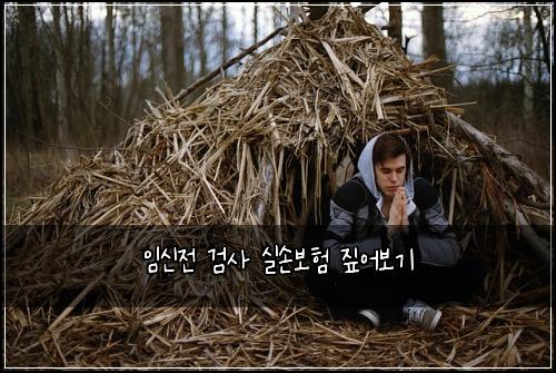 임신전 검사 실손보험 짚어보기 