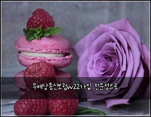 무배당종신보험w22가입 전문성으로