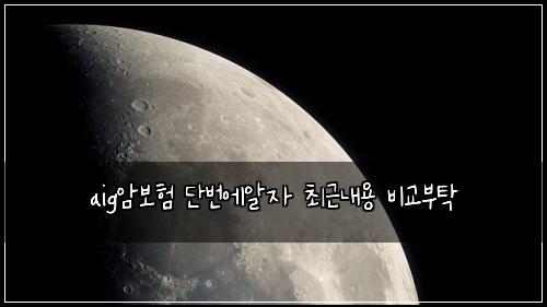aig암보험 단번에알자  최근내용 비교부탁