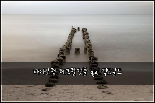 태아보험 체크할것들  qa 맥도날드