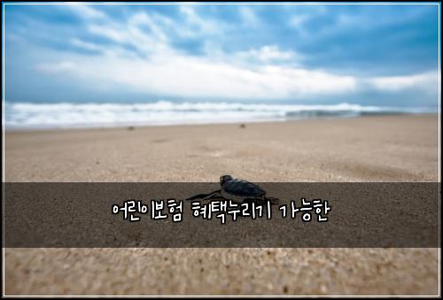 어린이보험 혜택누리기  가능한