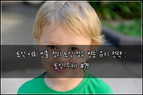 토익 어휘 빈출 정리 토익 점수 변동 유지 전략 : 토익 문제 #79
