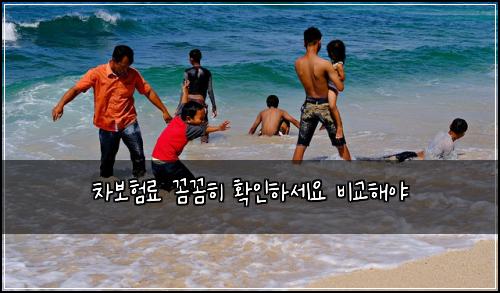 차보험료 꼼꼼히 확인하세요 비교해야