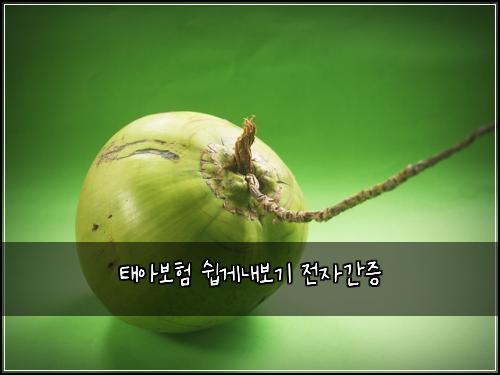 태아보험 쉽게내보기  전자간증